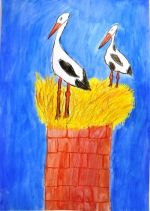 Labudová Veronika.jpg